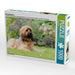 Briard-Portrait - CALVENDO Foto-Puzzle - calvendoverlag 31.99