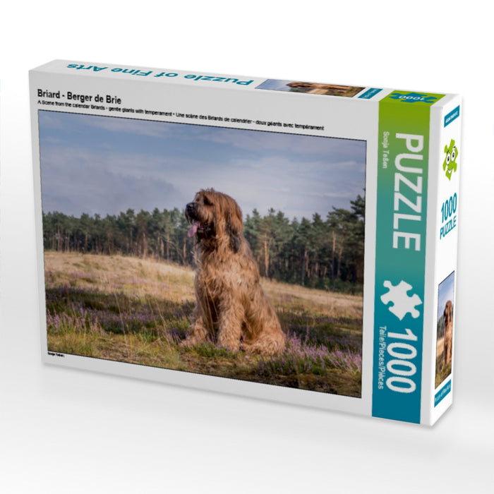 Briard - Berger de Brie - CALVENDO Foto-Puzzle - calvendoverlag 31.99