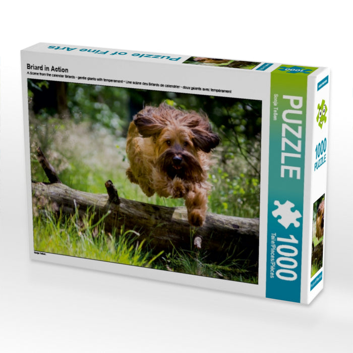 Briard in Action - CALVENDO Foto-Puzzle - calvendoverlag 31.99