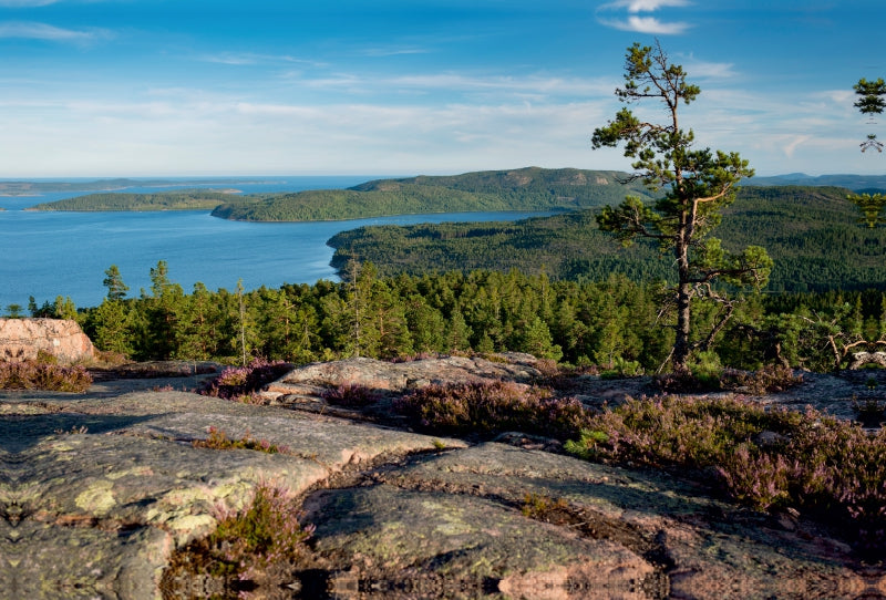 Premium Textil-Leinwand Premium Textil-Leinwand 120 cm x 80 cm quer Blick vom Skuleskogens Nationalpark in den Schärengarten der Ostsee, Schweden