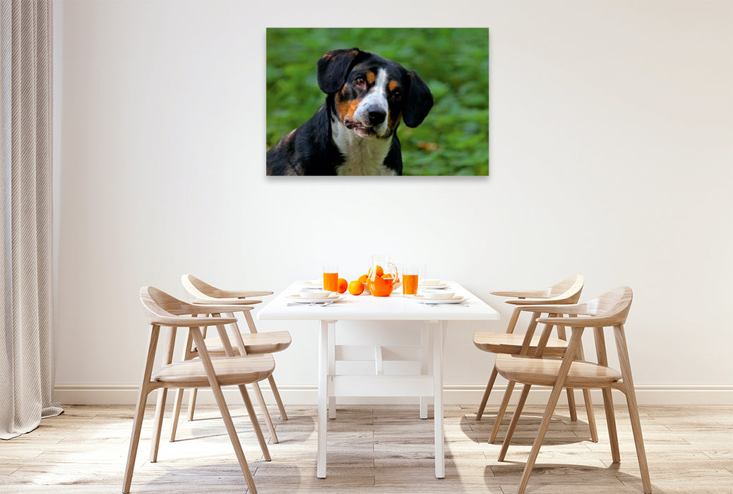 Premium Textil-Leinwand Premium Textil-Leinwand 120 cm x 80 cm quer Entlebucher Sennenhund Emma