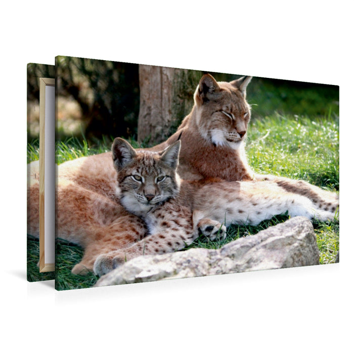 Toile textile premium Toile textile premium 120 cm x 80 cm paysage Famille Lynx - Les chasseurs à l'oreille en brosse 