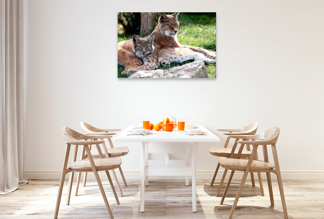 Premium Textil-Leinwand Premium Textil-Leinwand 120 cm x 80 cm quer Familie Luchs - Die Jäger mit dem Pinselohr