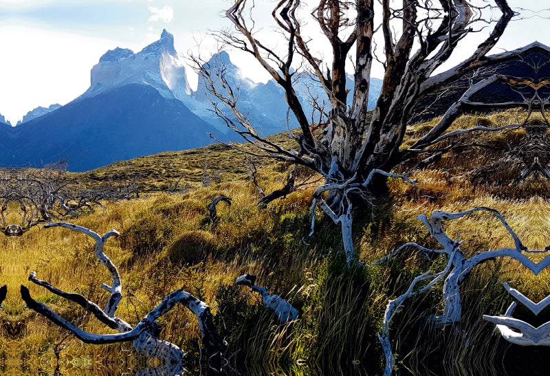 Toile textile premium Toile textile premium 75 cm x 50 cm paysage Mirador Cuernos, Parc National Torres del Paine, Chili 