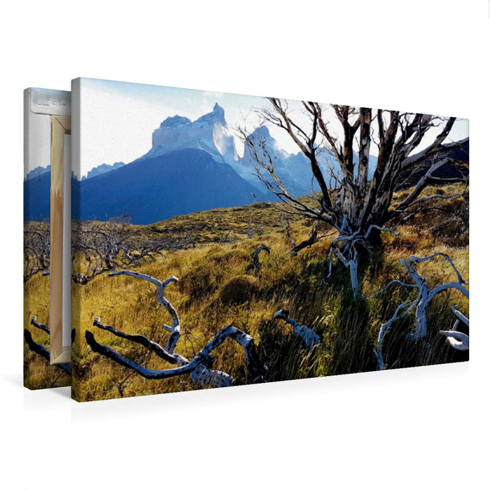 Toile textile premium Toile textile premium 75 cm x 50 cm paysage Mirador Cuernos, Parc National Torres del Paine, Chili 