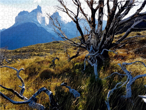 Mirador Cuernos, Torres del Paine Nationalpark, Chile - CALVENDO Foto-Puzzle - calvendoverlag 29.99