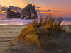 Abenddämmerung am Wharariki Beach, Neuseeland - CALVENDO Foto-Puzzle - calvendoverlag 29.99