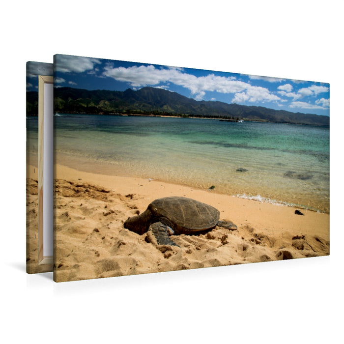 Toile textile premium Toile textile premium 120 cm x 80 cm paysage Haleiwa Beach - Oahu 