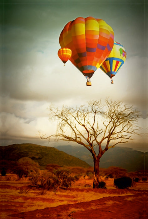 Premium Textil-Leinwand Premium Textil-Leinwand 80 cm x 120 cm  hoch Heißluftballone durchqueren Afrika