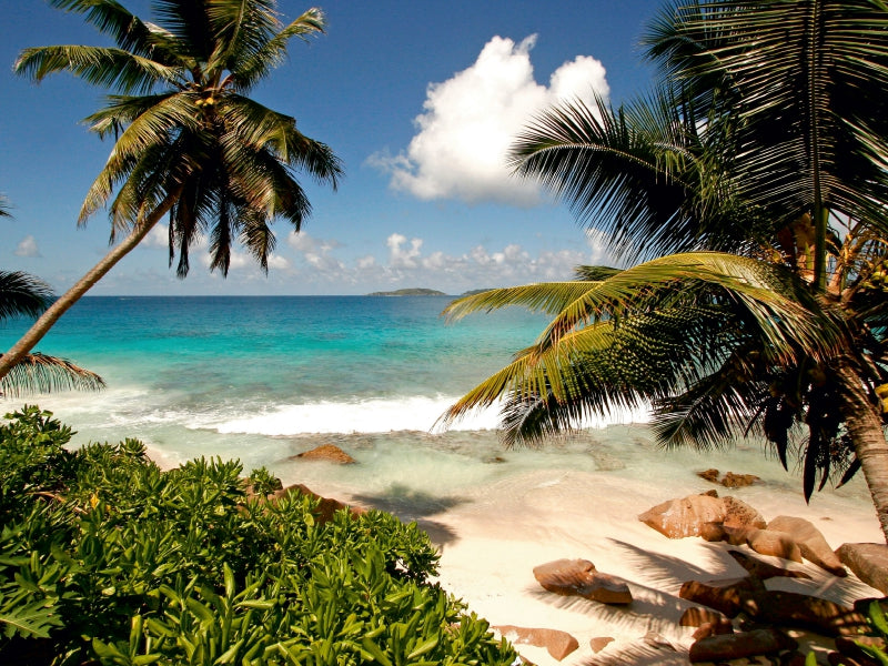 La Digue Seychellen - CALVENDO Foto-Puzzle - calvendoverlag 29.99