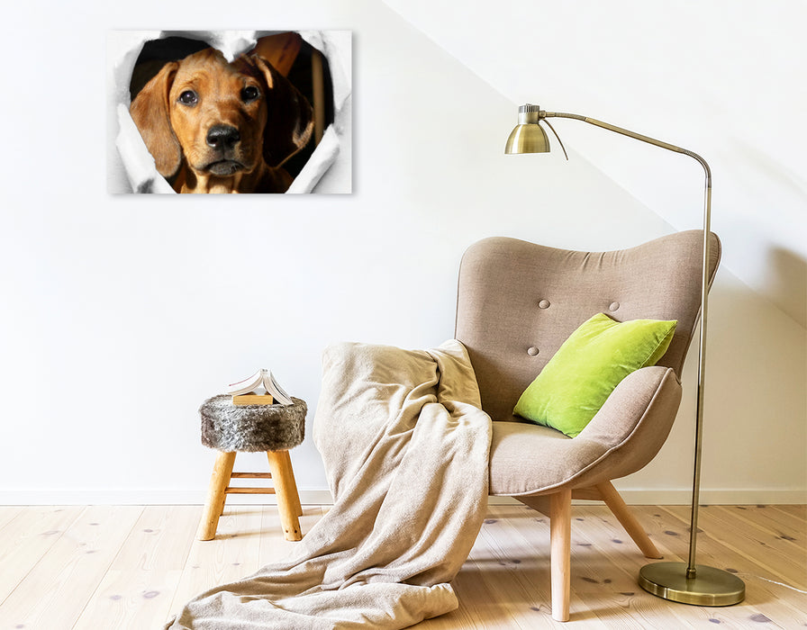 Premium Textil-Leinwand Premium Textil-Leinwand 75 cm x 50 cm quer Rhodesian Ridgeback - eine Liebe fürs Leben -