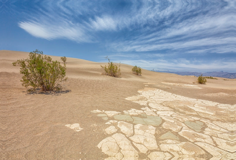 Premium Textil-Leinwand Premium Textil-Leinwand 120 cm x 80 cm quer Sand Dunes, Death Valley Nationalpark, Kalifornien