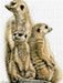 Erdmännchen bei der Wache - CALVENDO Foto-Puzzle - calvendoverlag 29.99