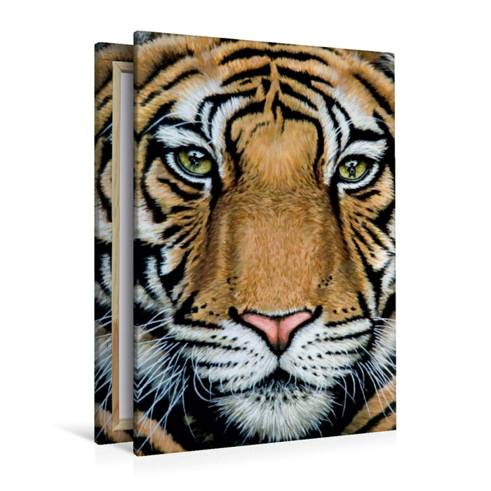 Premium Textil-Leinwand Premium Textil-Leinwand 80 cm x 120 cm  hoch Tiger's Last Roar