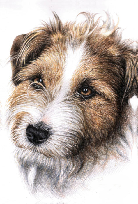 Premium Textil-Leinwand Premium Textil-Leinwand 80 cm x 120 cm  hoch Jack Russell Terrier