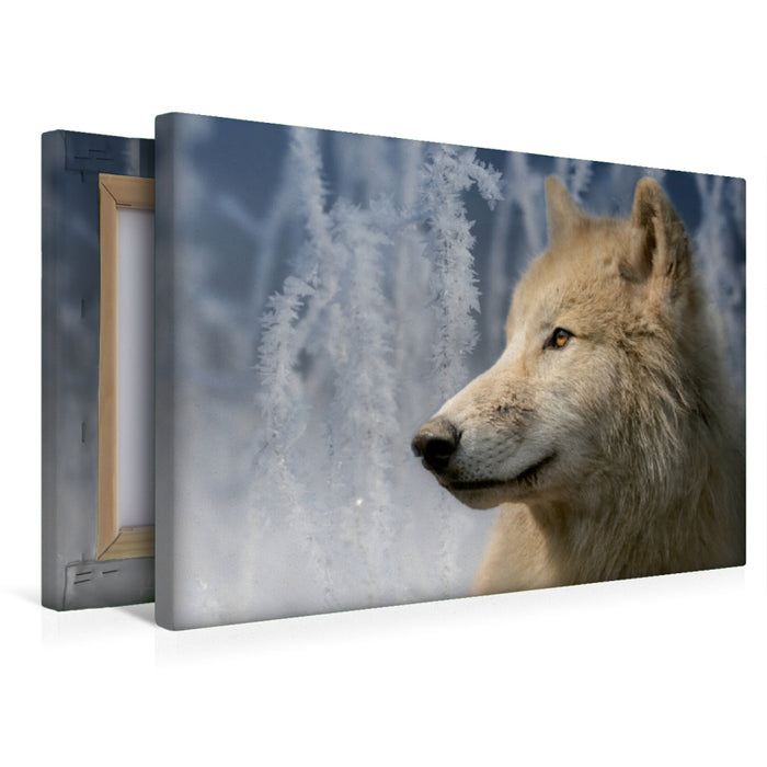 Premium Textil-Leinwand Premium Textil-Leinwand 45 cm x 30 cm quer Polarwolf