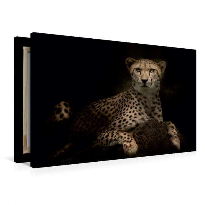 Premium Textil-Leinwand Premium Textil-Leinwand 90 cm x 60 cm quer Gepard