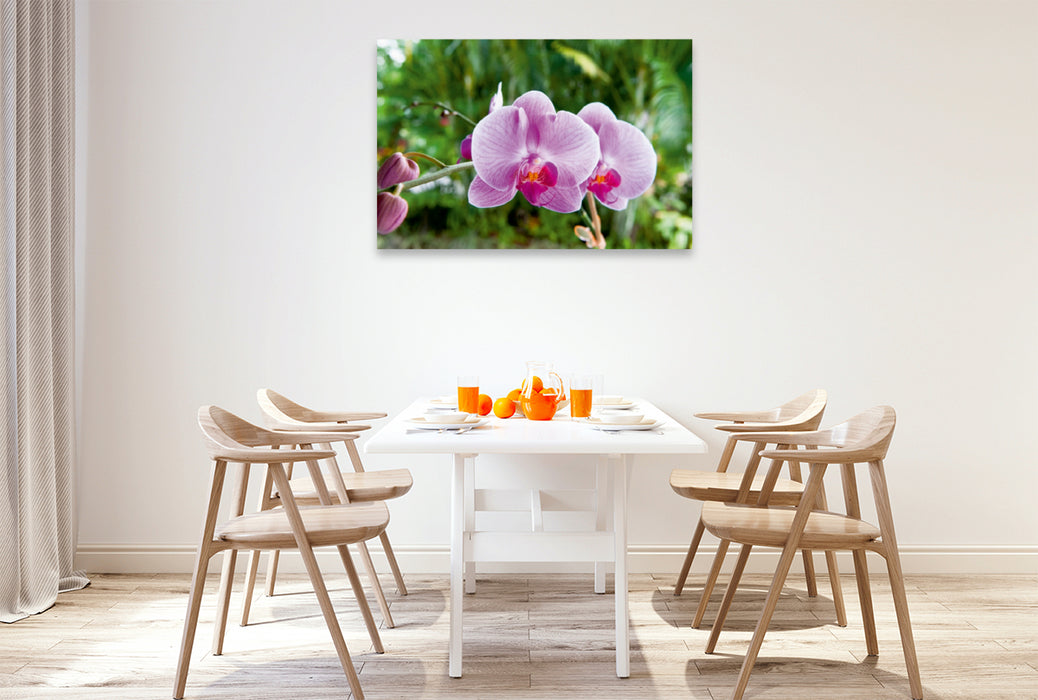 Premium Textil-Leinwand Premium Textil-Leinwand 120 cm x 80 cm quer Orchidee Phalaenopsis Pink