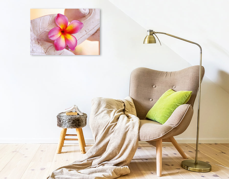 Premium Textil-Leinwand Premium Textil-Leinwand 75 cm x 50 cm quer Ein Motiv aus dem Kalender Tropischer Blütentraum