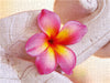 Tropischer Blütentraum - CALVENDO Foto-Puzzle - calvendoverlag 29.99
