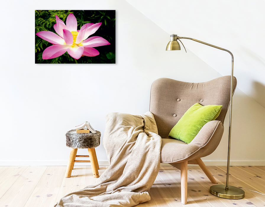 Premium Textil-Leinwand Premium Textil-Leinwand 75 cm x 50 cm quer Pink Lotus Nelumbo Nucifera