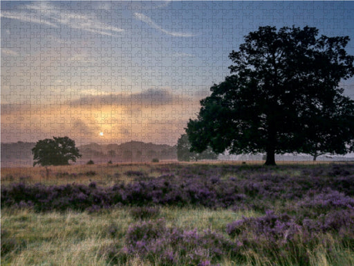 Morgennebel bei Niederhaverbeck - CALVENDO Foto-Puzzle - calvendoverlag 29.99