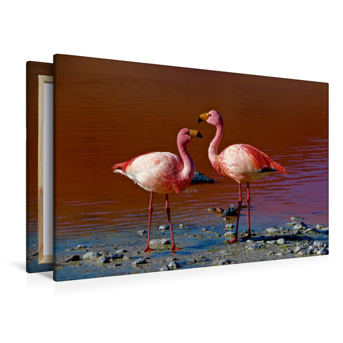 Premium Textil-Leinwand Premium Textil-Leinwand 120 cm x 80 cm quer Flamingos im Salar de Uyuni