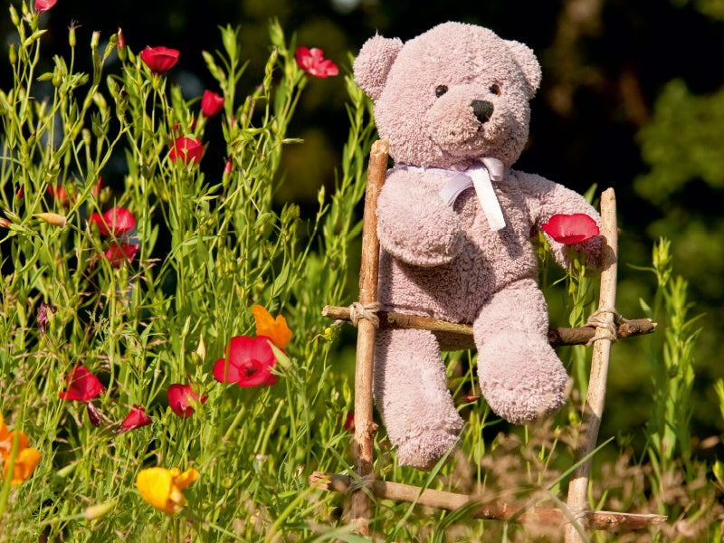 Kletterbär im Garten - CALVENDO Foto-Puzzle - calvendoverlag 29.99