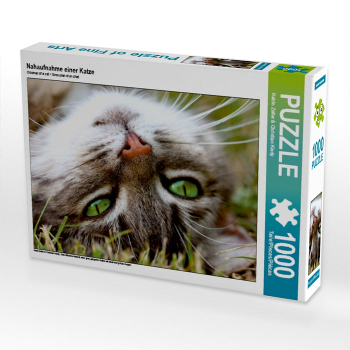 Nahaufnahme einer Katze - CALVENDO Foto-Puzzle - calvendoverlag 29.99