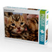 Kittengesicht mit 18 Tagen - CALVENDO Foto-Puzzle - calvendoverlag 29.99