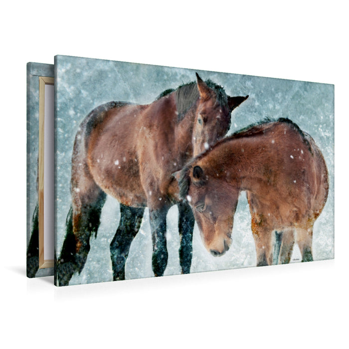 Premium Textil-Leinwand Premium Textil-Leinwand 120 cm x 80 cm quer Ein Motiv aus dem Kalender Pferde zum Träumen