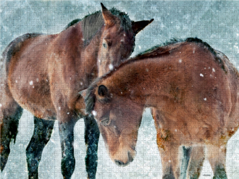 Pferde zum Träumen - CALVENDO Foto-Puzzle - calvendoverlag 29.99