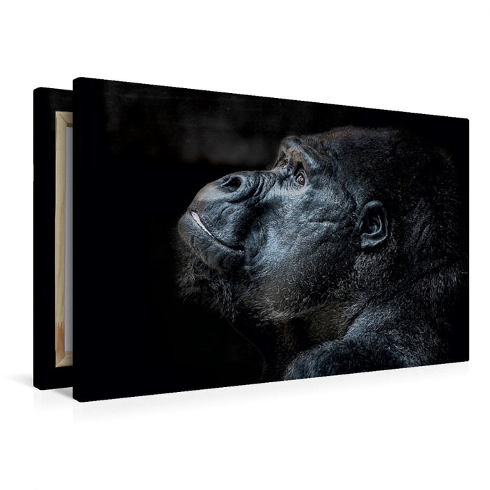 Premium Textil-Leinwand Premium Textil-Leinwand 90 cm x 60 cm quer Gorilla