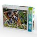 Lauernder Tiger - CALVENDO Foto-Puzzle - calvendoverlag 29.99