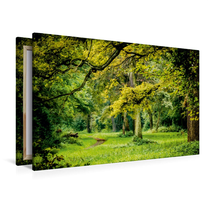 Premium Textil-Leinwand Premium Textil-Leinwand 120 cm x 80 cm quer Ein Blick in den Wald