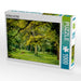 Ein Blick in den Wald - CALVENDO Foto-Puzzle - calvendoverlag 29.99