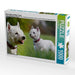 West Highland White Terrier - CALVENDO Foto-Puzzle - calvendoverlag 29.99