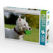 West Highland White Terrier - CALVENDO Foto-Puzzle - calvendoverlag 29.99