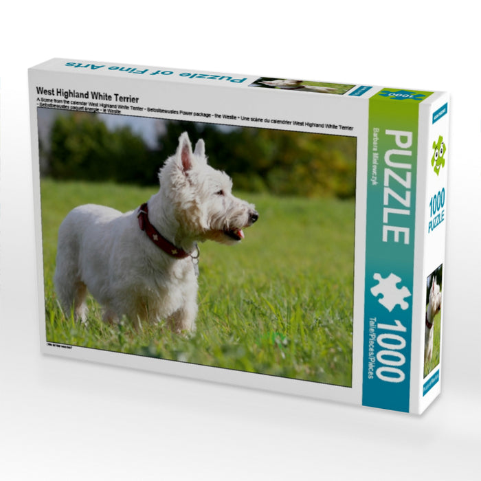 West Highland White Terrier - CALVENDO Foto-Puzzle - calvendoverlag 29.99