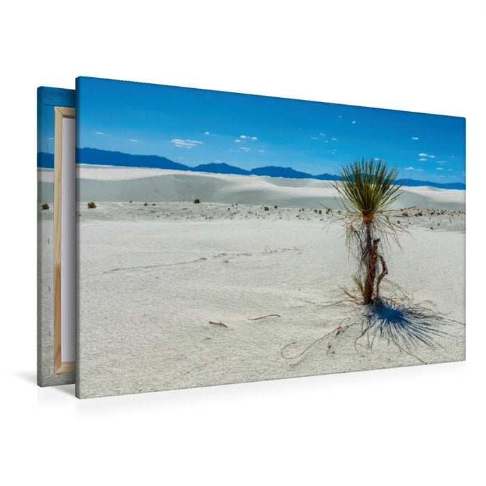 Premium Textil-Leinwand Premium Textil-Leinwand 120 cm x 80 cm quer White Sands National Monument, New Mexiko