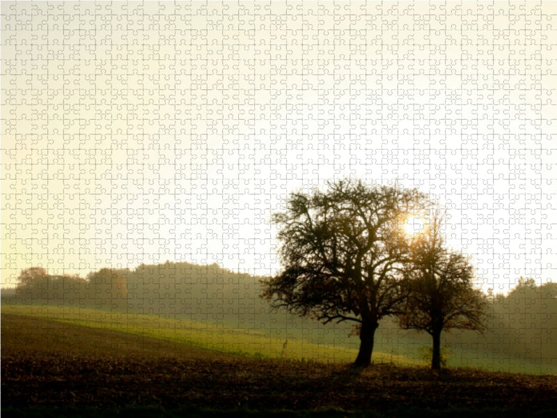 Apfelbäume im Odenwald - CALVENDO Foto-Puzzle - calvendoverlag 29.99