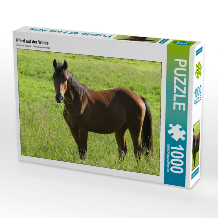 Horse in the pasture - CALVENDO photo puzzle 