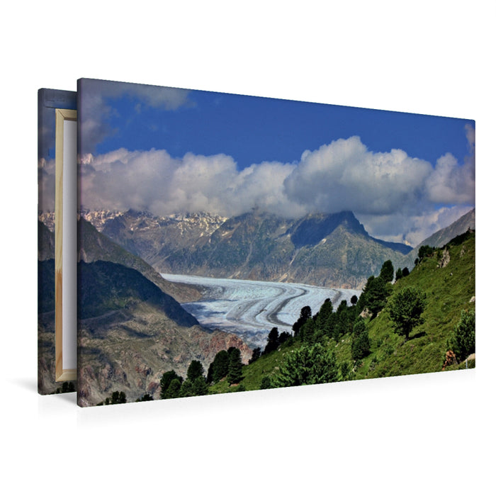 Premium Textil-Leinwand Premium Textil-Leinwand 120 cm x 80 cm quer Blick aus dem Aletschwald auf den Aletschgletscher