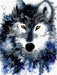 Wolf - CALVENDO Foto-Puzzle - calvendoverlag 29.99