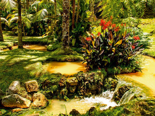 Parque Terra Nostra - CALVENDO Foto-Puzzle - calvendoverlag 29.99