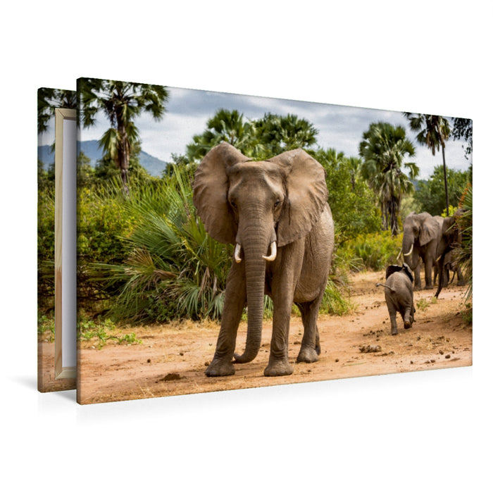 Premium Textil-Leinwand Premium Textil-Leinwand 120 cm x 80 cm quer Abenteuer Sambia: Elefant mit Jungtier im Lower Zambezi National Park