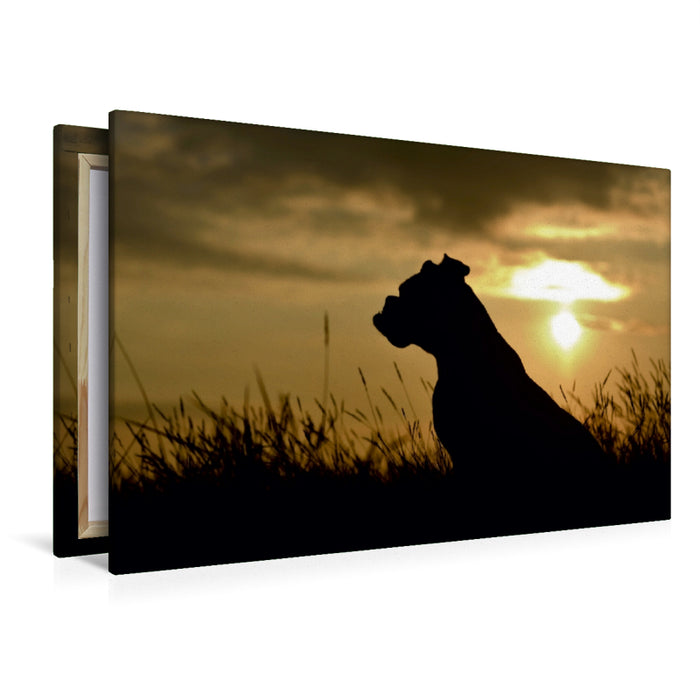 Premium Textil-Leinwand Premium Textil-Leinwand 120 cm x 80 cm quer Hund im Sonnenuntergang