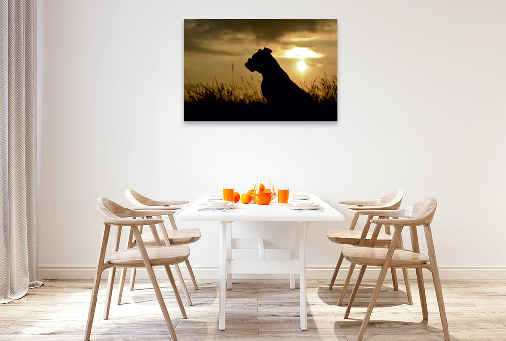 Premium Textil-Leinwand Premium Textil-Leinwand 120 cm x 80 cm quer Hund im Sonnenuntergang