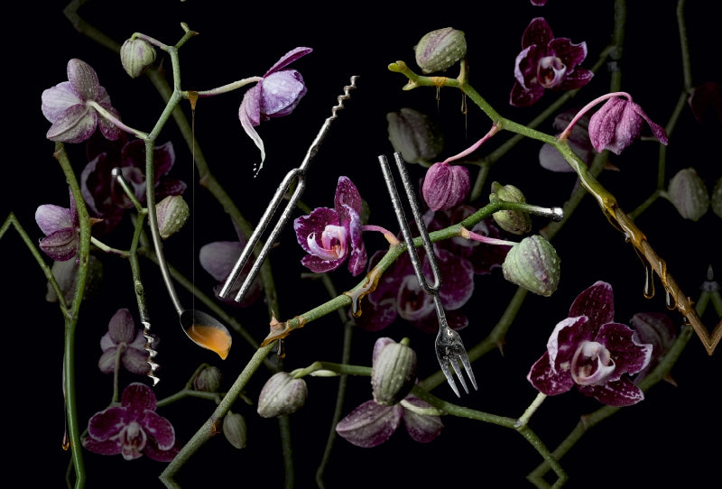 Toile textile premium Toile textile premium 120 cm x 80 cm paysage Orchidea diapasona 