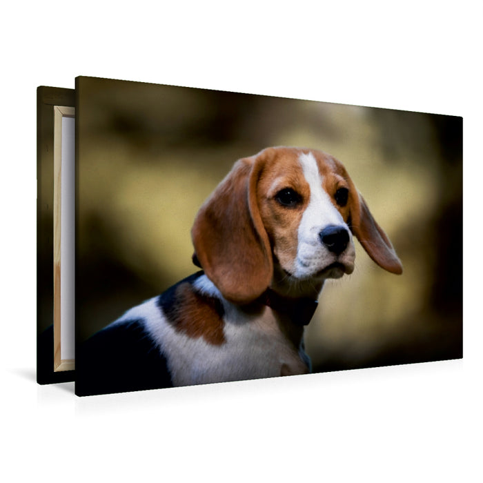 Toile textile premium Toile textile premium 120 cm x 80 cm paysage portrait Beagle 